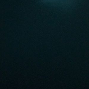 Meet your Posher, Danyelle